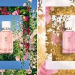La-collection-de-parfum-Pleines-Natures