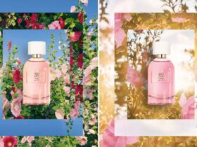 La-collection-de-parfum-Pleines-Natures | Trendymagazine