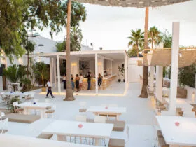 Molo Tunis