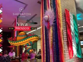 Un Festival Mexicain Époustouflant au Harry's Pub