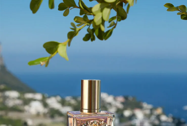 DG Devotion Eau de Parfum
