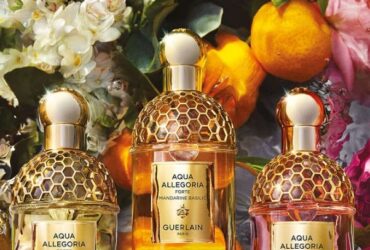 Aqua-Allegoria-Forte-2023 | Trendymagazine