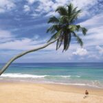 Le Sri Lanka, nouvelle destination ouverte à partir de la Tunisie | Trendymagazine