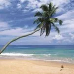 Le Sri Lanka, nouvelle destination ouverte à partir de la Tunisie