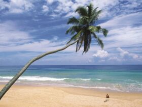 Le Sri Lanka, nouvelle destination ouverte Ã  partir de la Tunisie | Trendymagazine