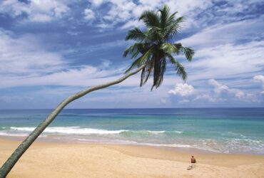 Le Sri Lanka, nouvelle destination ouverte à partir de la Tunisie