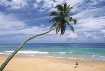 Le Sri Lanka, nouvelle destination ouverte à partir de la Tunisie