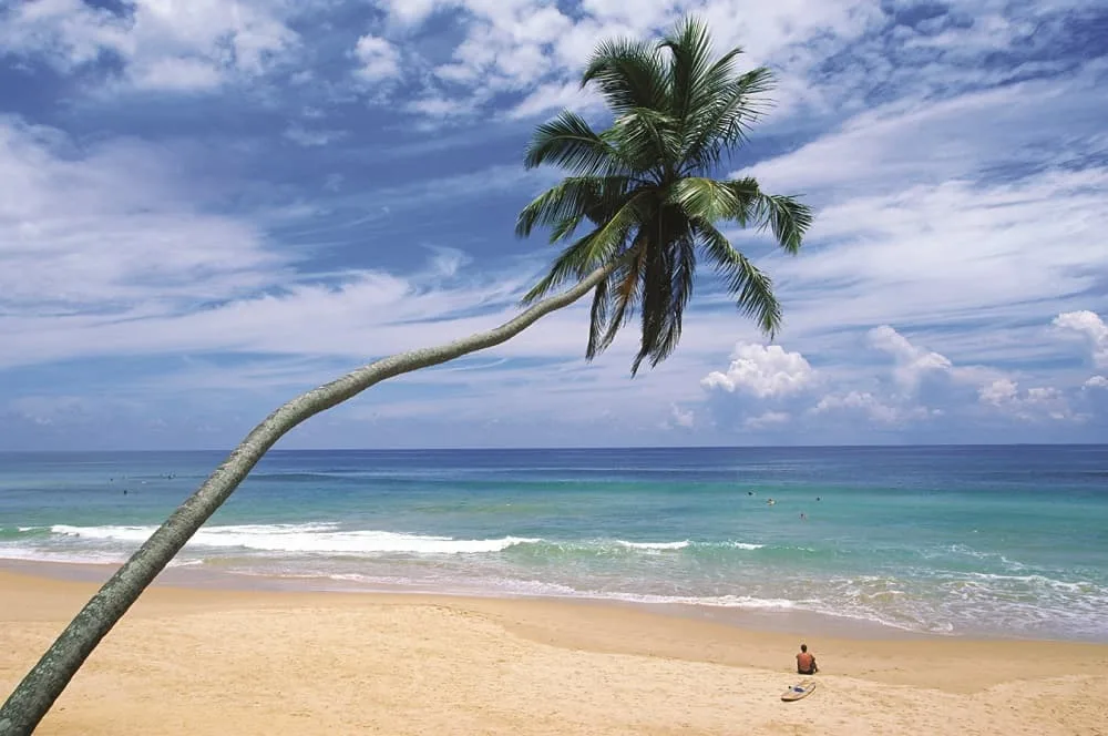Le Sri Lanka, nouvelle destination ouverte à partir de la Tunisie
