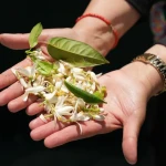 Route du Bigaradier Nabeul