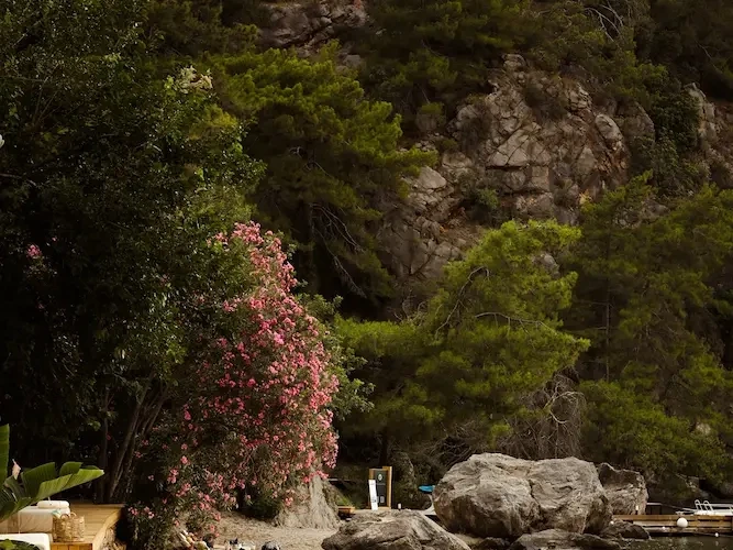 Fethiye Luxury Hotels