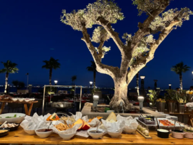 Mövenpick Hôtel du Lac Tunis Summer Farewell 2026